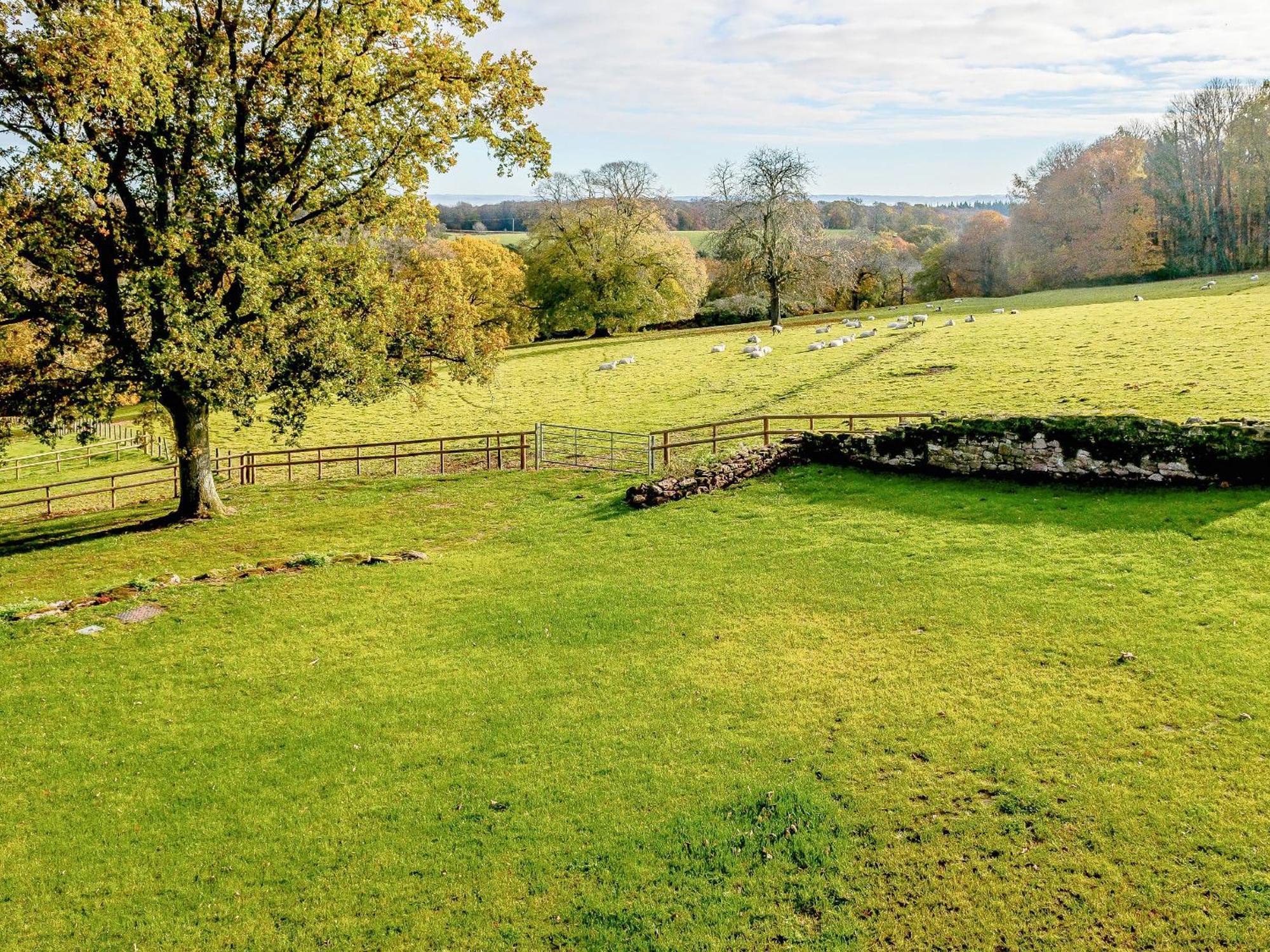 Owl Barn -- Uk30757 Villa Bream Exterior foto